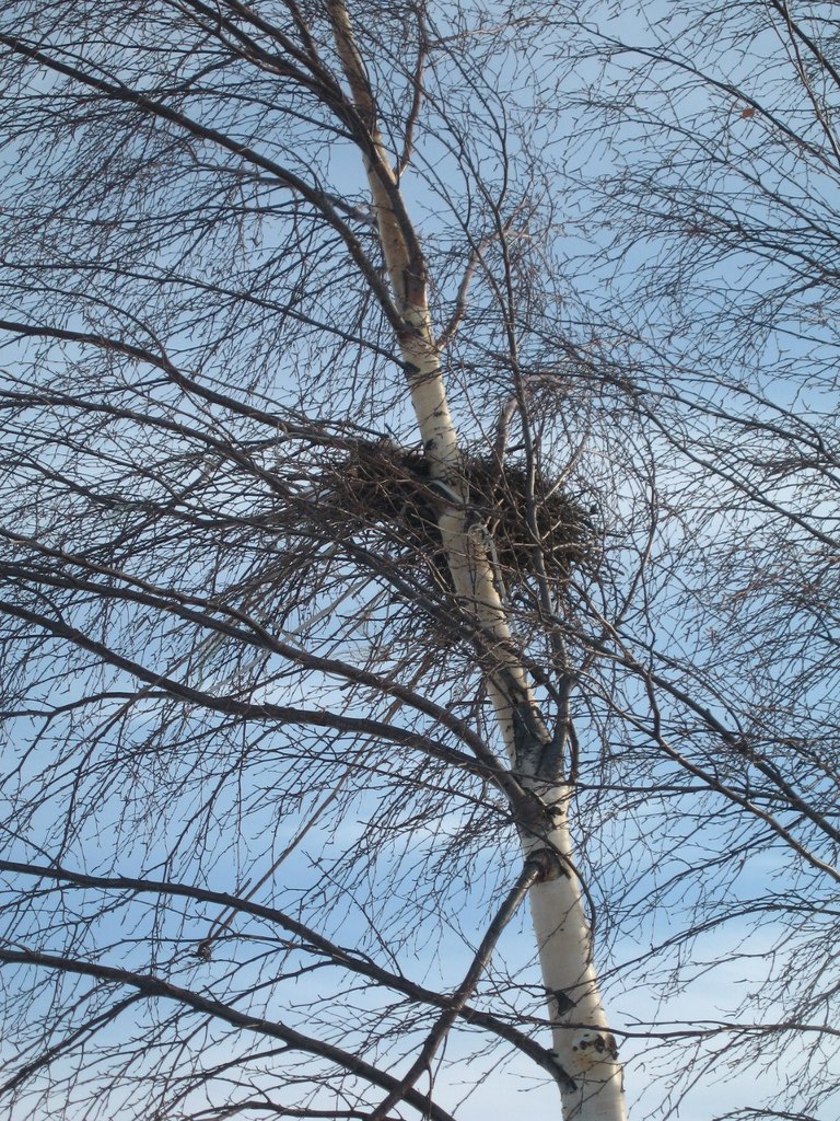 Светлана Кускова | Санкт-Петербург