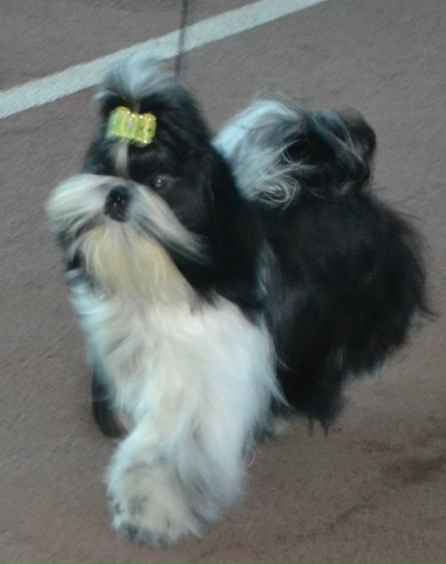 Оля Фартушна | Кривой Рог