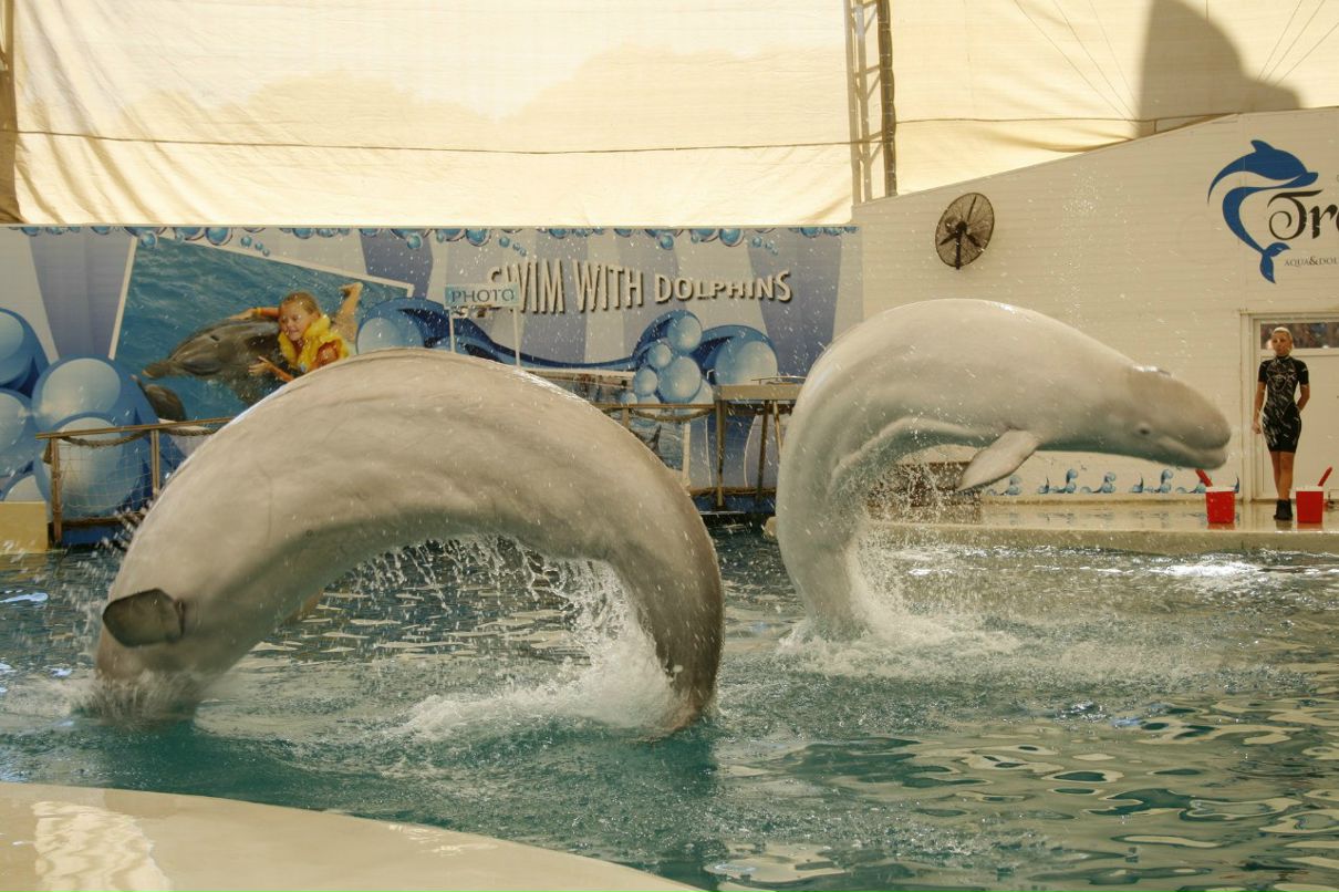 Виктор Фатерин | Новосибирск