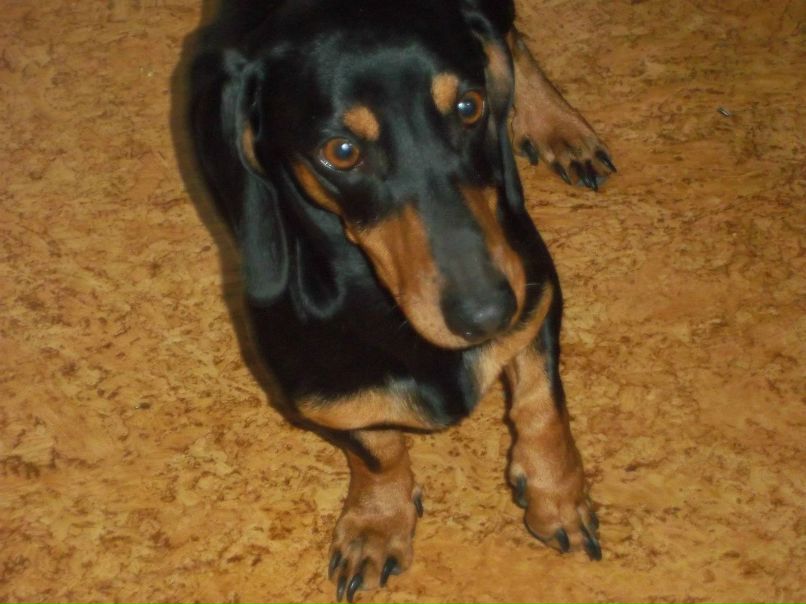 Надежда Сукачёва | Пестравка