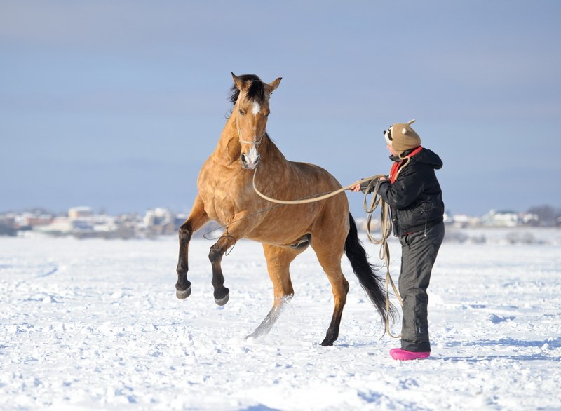 Юлия Кольчукова | Сердобск