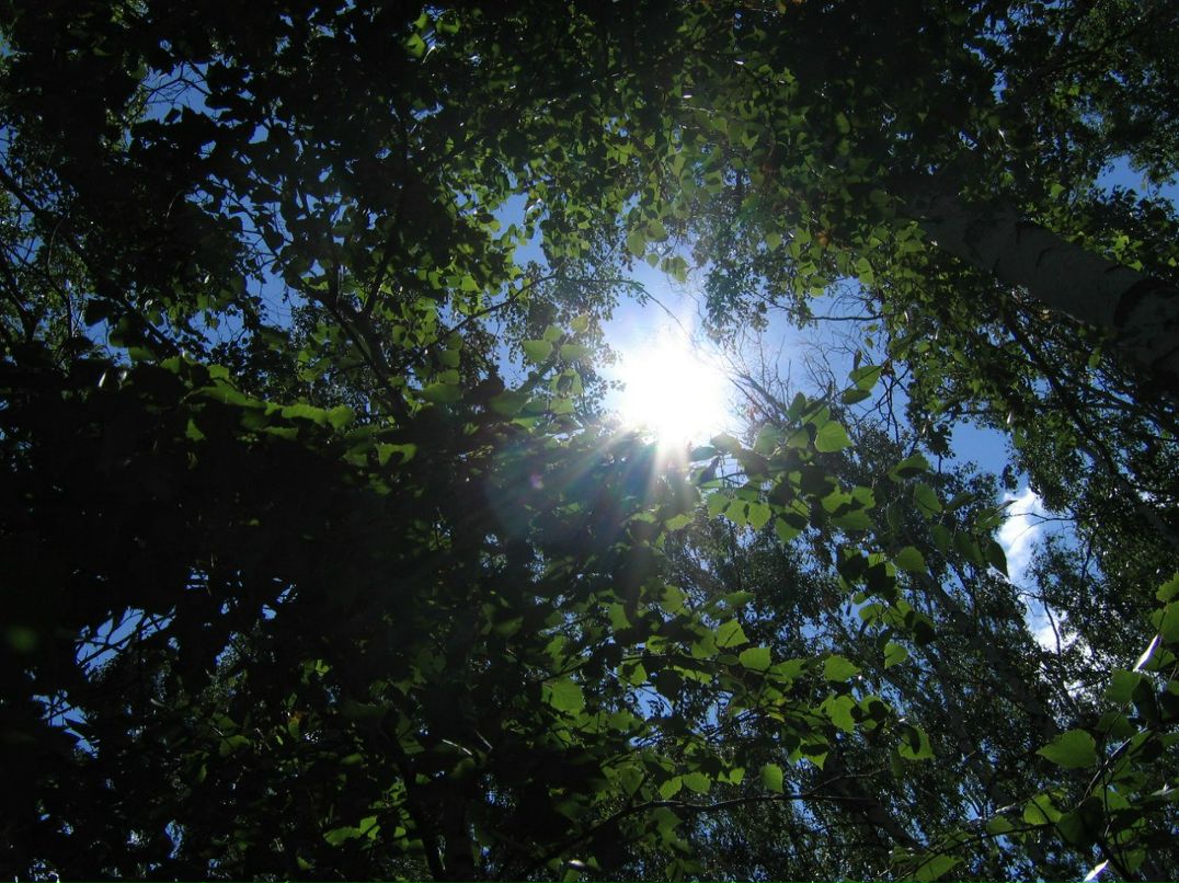 Ильсен Юмагужин | Уфа