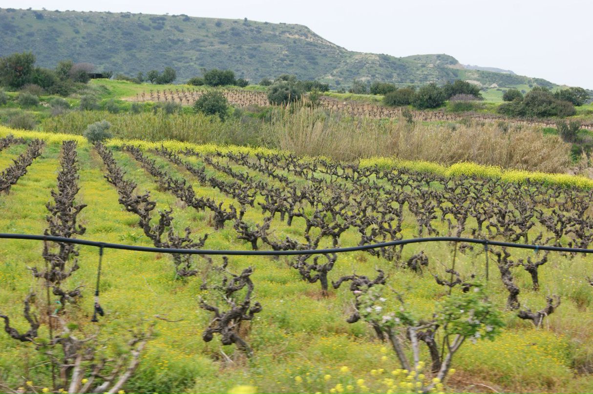 Анатолий Зырянов | Москва