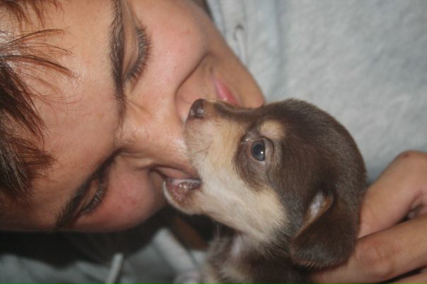 №1, Александр Кордов №1, Александр Кордов