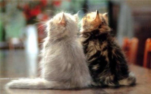 №175, Любовь Яшенкова, Villeneuve-sur-Lot №175, Любовь Яшенкова, Villeneuve-sur-Lot