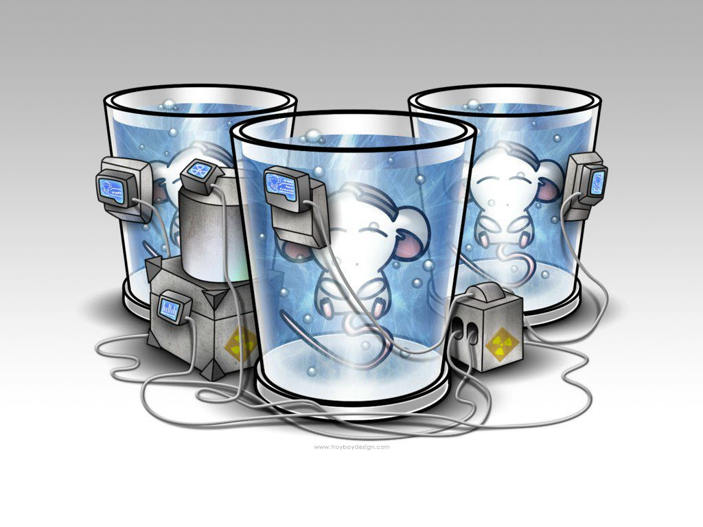 Никита Бортников | Березники