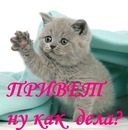 Фотография Мирослава Попович