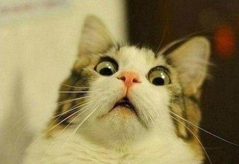 Веталь Мельников | Санкт-Петербург