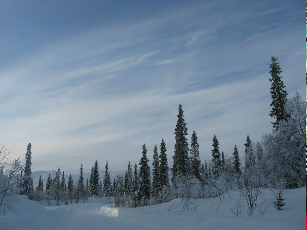 Елена Певцова | Коашва