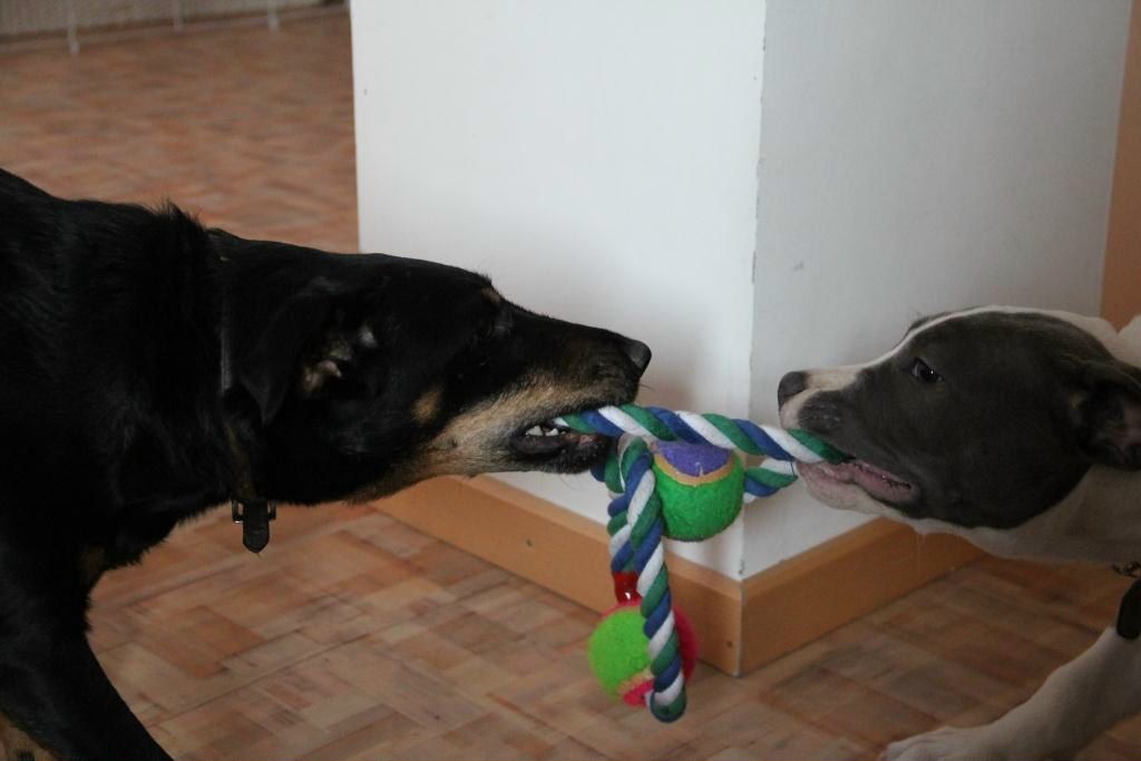 Олеся Курилова | Волгоград