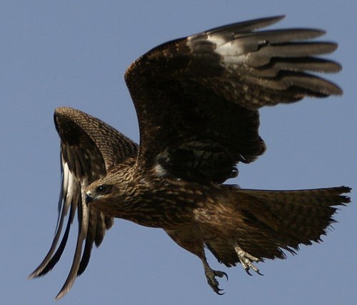 Эльёр Тухтабаев | Москва
