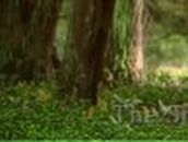 Наталья Васильева | Москва