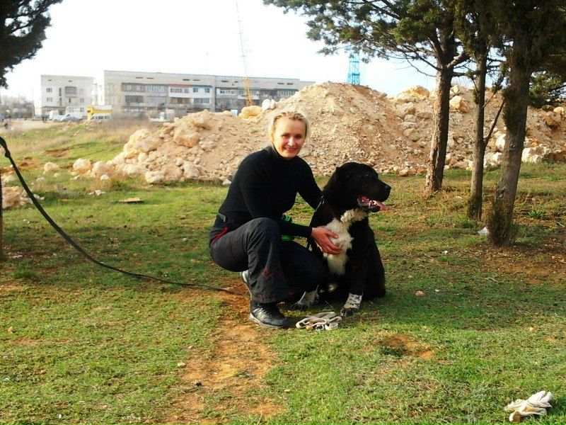 №39, Руслан Гордеев, Львов №39, Руслан Гордеев, Львов