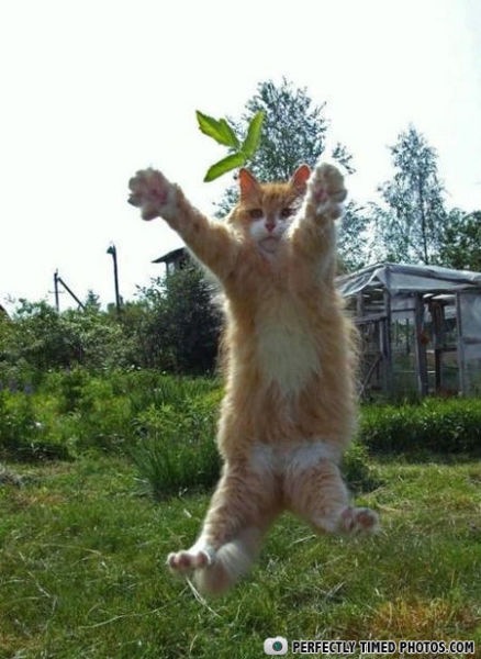 №102, Сергей Суменко №102, Сергей Суменко