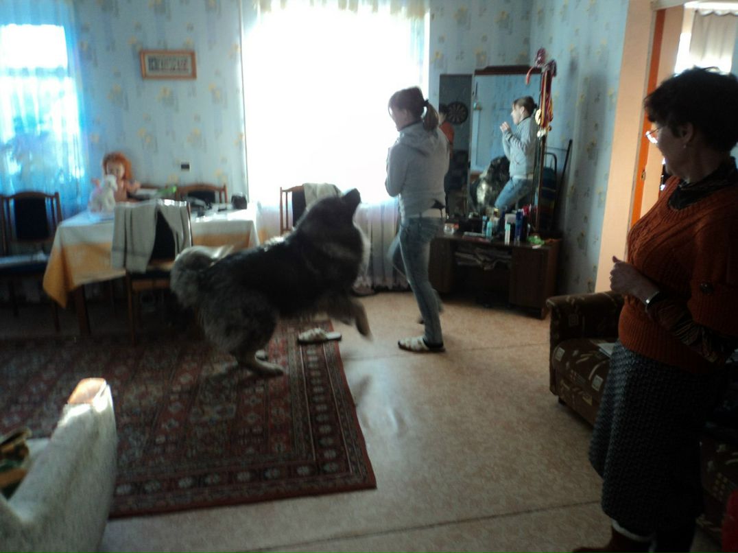 Мария Ярайкина | Чебоксары