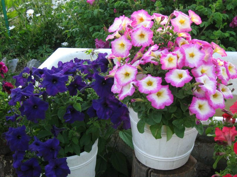 Татьяна Вайнерт | Нижний Тагил