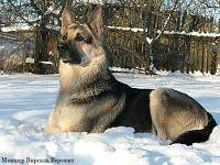 Виктория Котова | Сургут