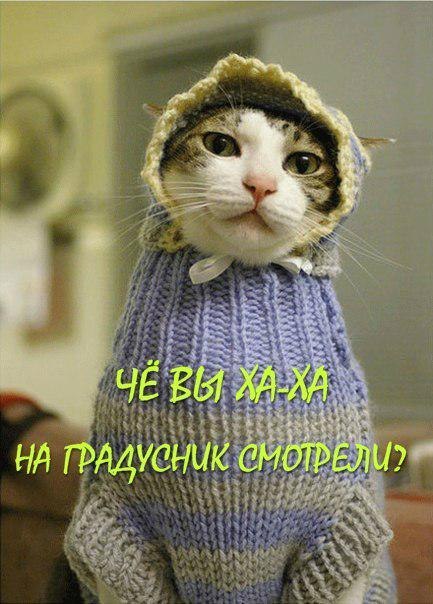 Даша Иванычева | Рязань