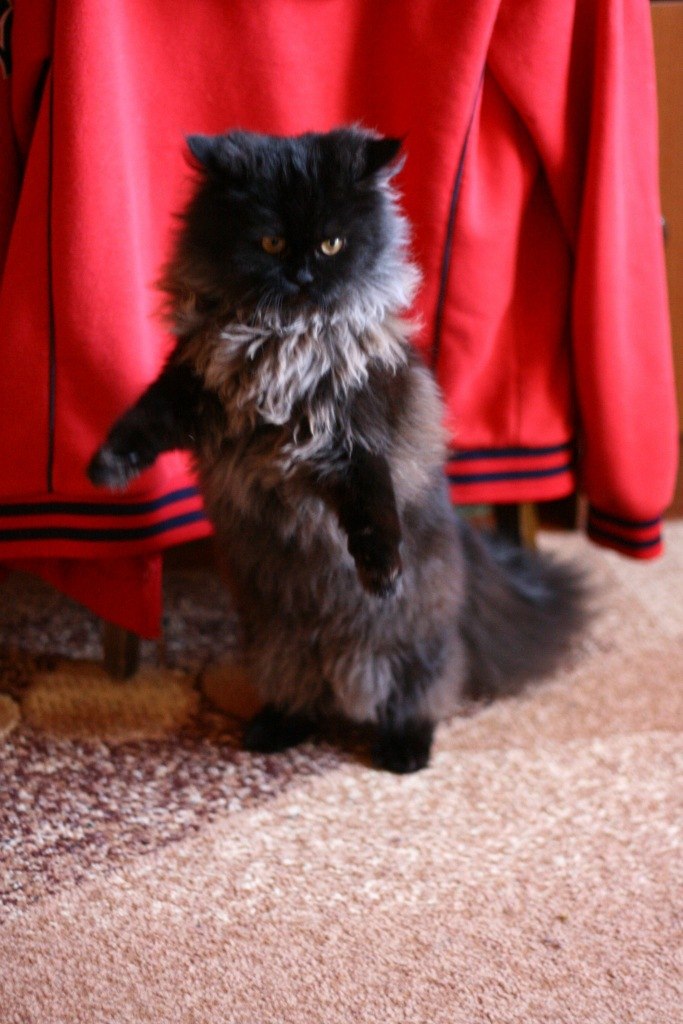 Ирина Олеговна | Измаил