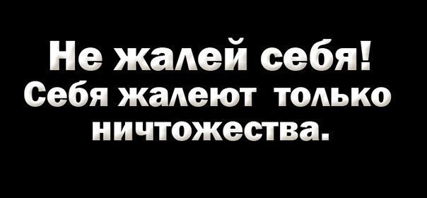 №1, Василий Басин №1, Василий Басин
