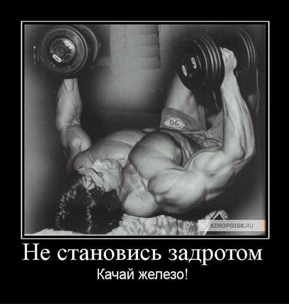 №74, Василий Басин №74, Василий Басин