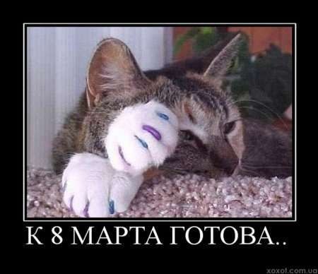 №12, Анастасия Загорская, 41 год, Севастополь №12, Анастасия Загорская, 41 год, Севастополь