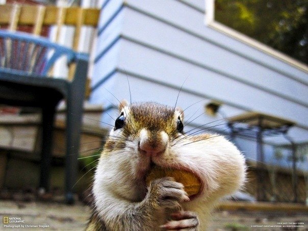 №71, Игорь Братцев, Санкт-Петербург №71, Игорь Братцев, Санкт-Петербург