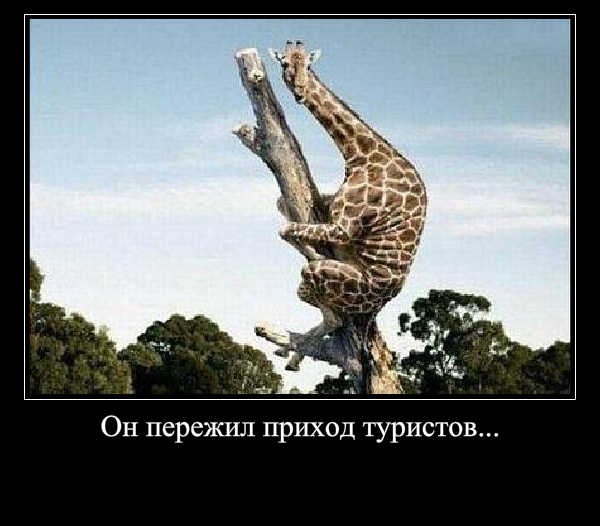 №127, Даниил Тирас, 36 лет №127, Даниил Тирас, 36 лет
