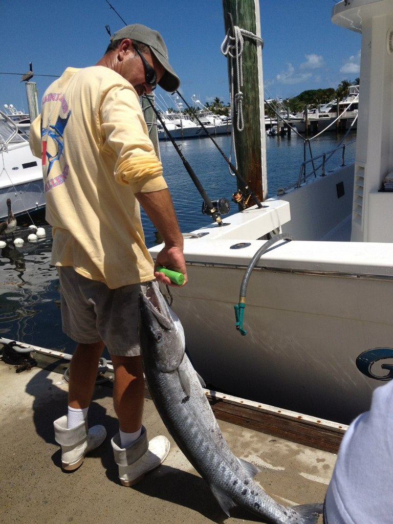 Данила Ильчик | 