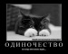 Анастасия Федорова-Хусаинова фотография #33