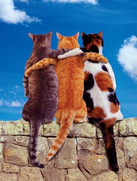 Екатерина Илюшкина | Москва