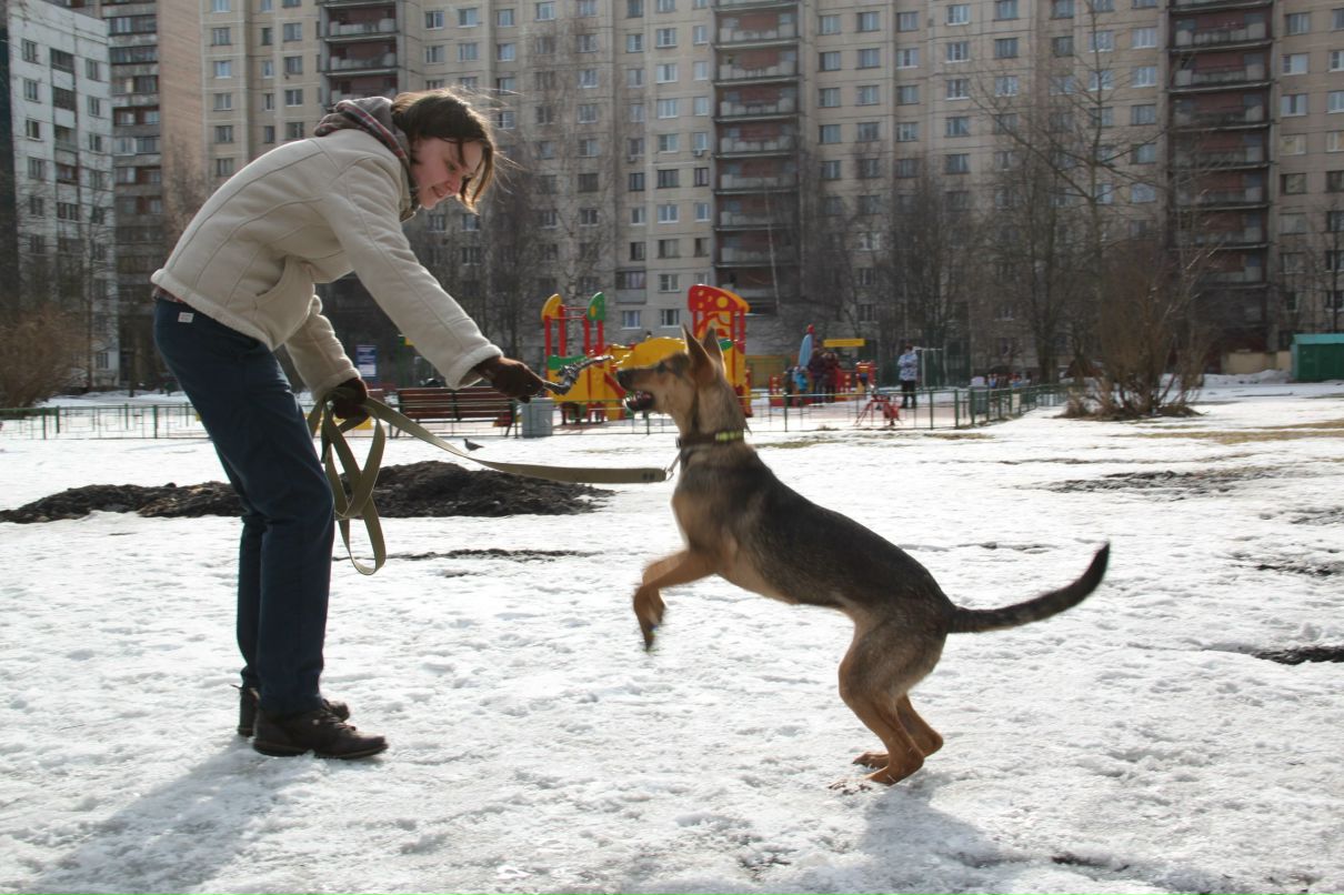 Екатерина Кришталь | Санкт-Петербург