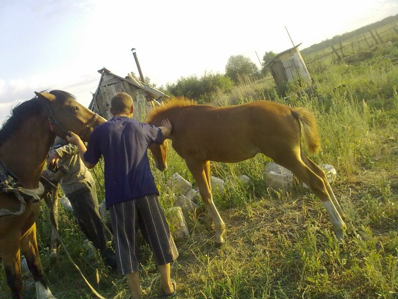 Кристина Татарникова | Москва