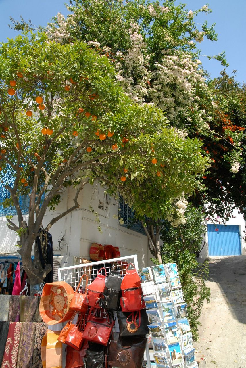 Анна Байрашева ॐ | Казань