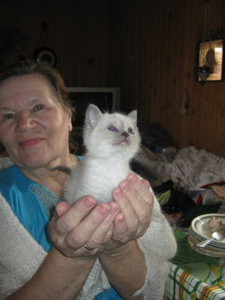 Женя Коротаева | Киров