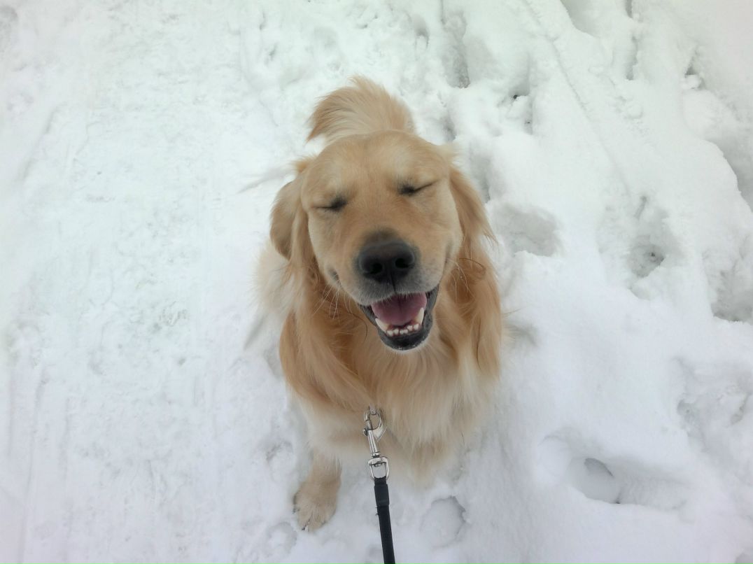 Дмитрий Черноляхов ())---DIMON--- | Москва