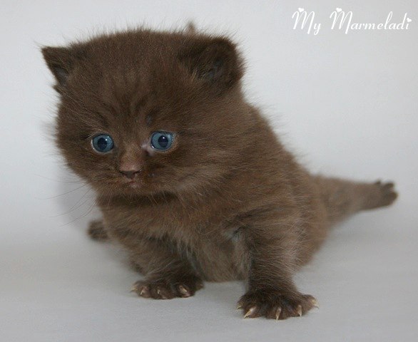 Ирина Аверина | Переславль-Залесский