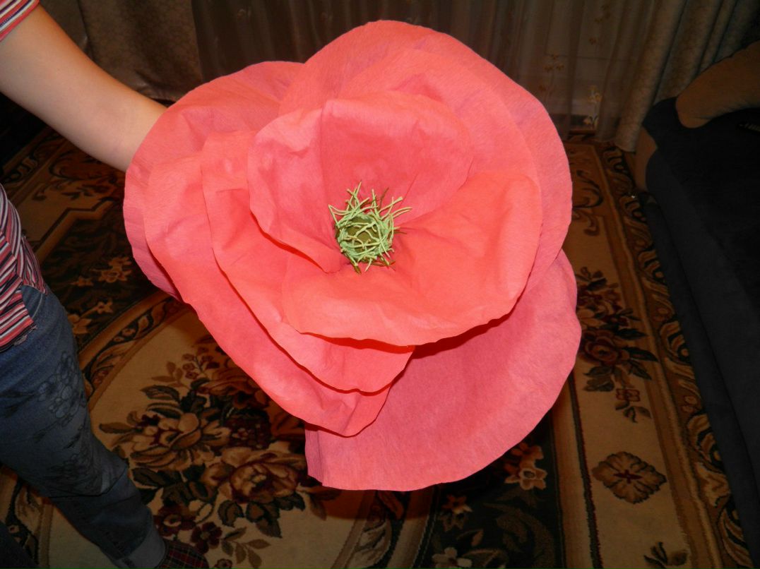 Анна Карпова | Санкт-Петербург