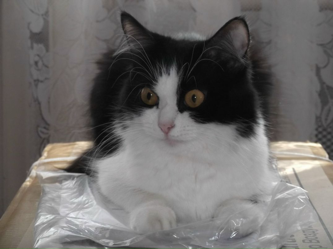 Yuliya Shestiayeva | Уральск