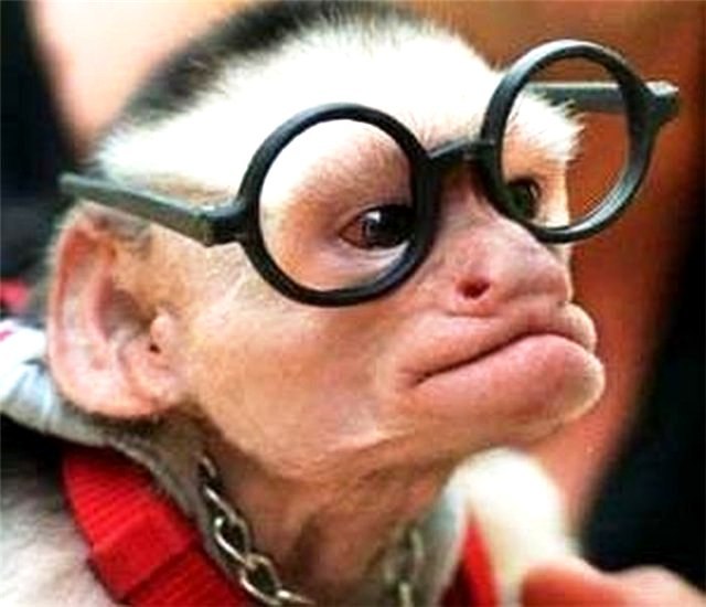 Ксения Софьина | Муром