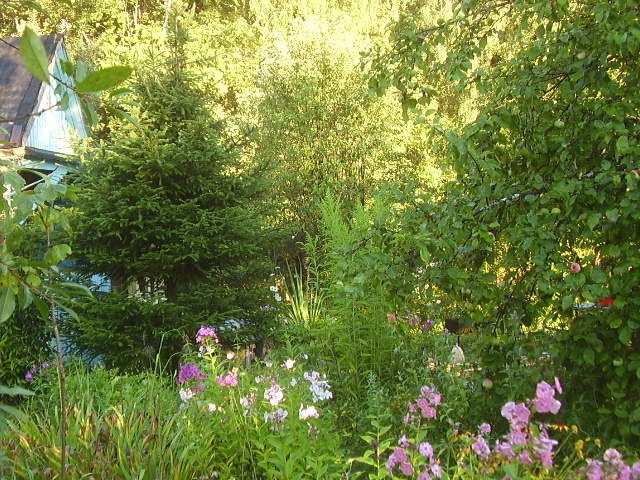 Варвара Алёшина | Москва