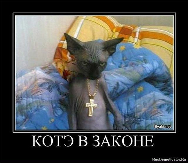 №28, Тетяна Кобець, 32 года, Чернигов №28, Тетяна Кобець, 32 года, Чернигов