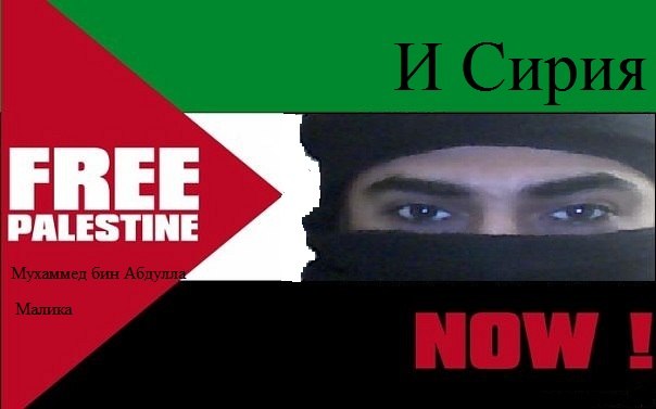 №13, Malek Elmasree, 44 года, Alexandria, Египет №13, Malek Elmasree, 44 года, Alexandria, Египет