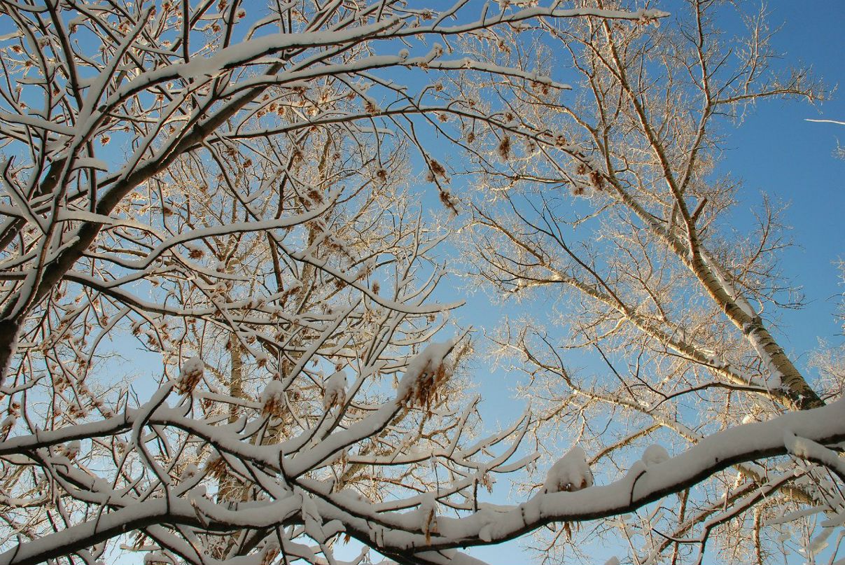 Елена Гражданинова | Нижний Новгород