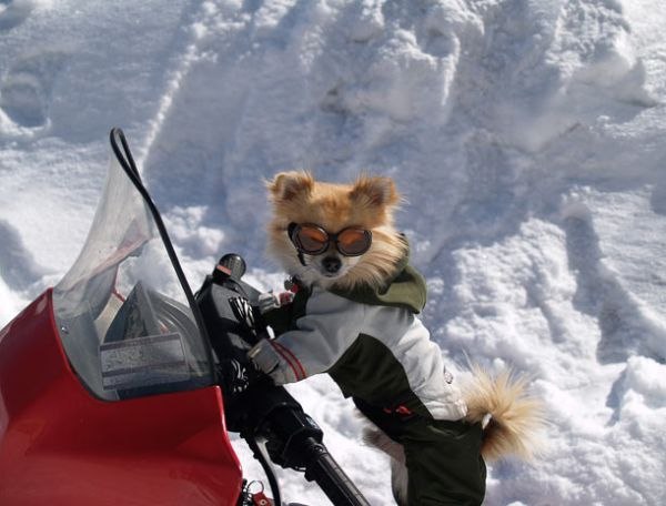 Алёна Фоменко ₪ ø lll .o· | Киев