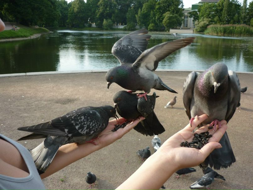 Екатерина Сенченко | Красноярск