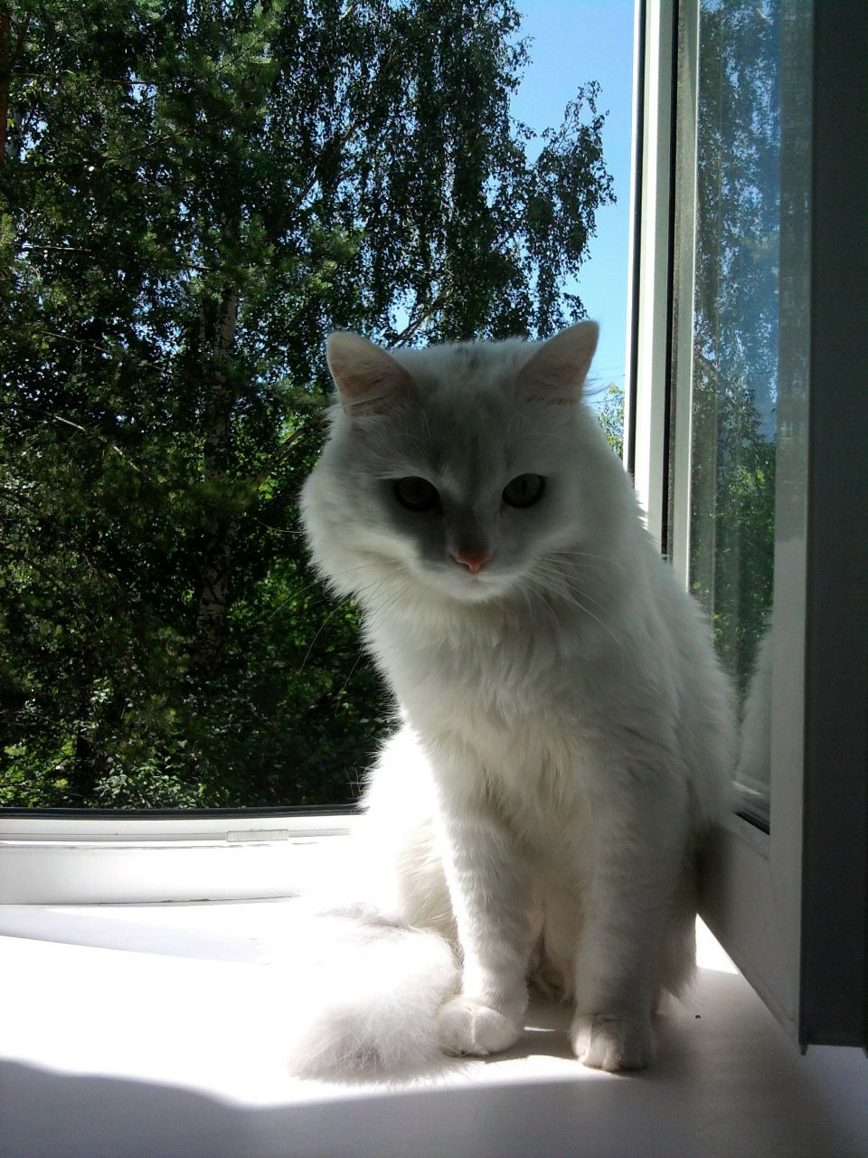 Вячеслав Бондарев | Пермь