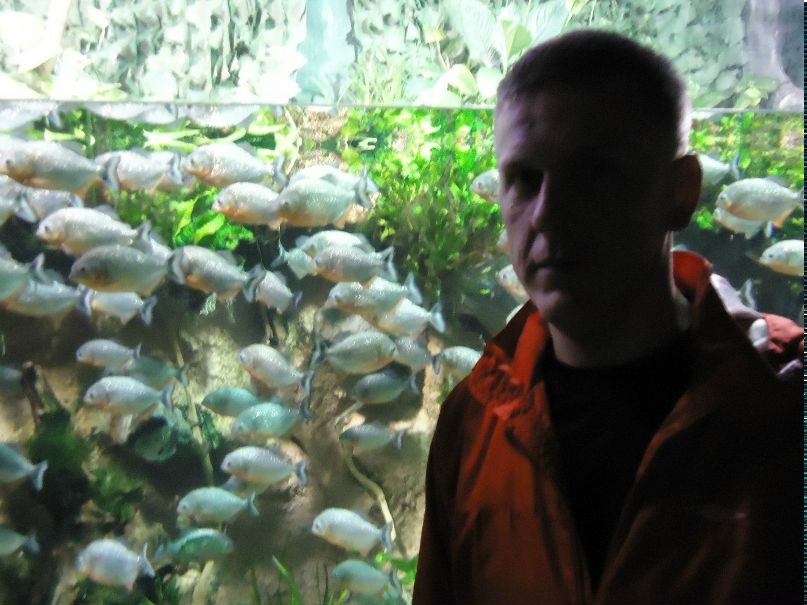 Олег Новоселов | Санкт-Петербург