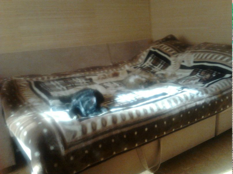 Артем Князев Владимирович | Владимир