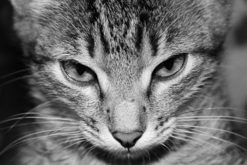 Евгения Савинкова ♥ | Москва